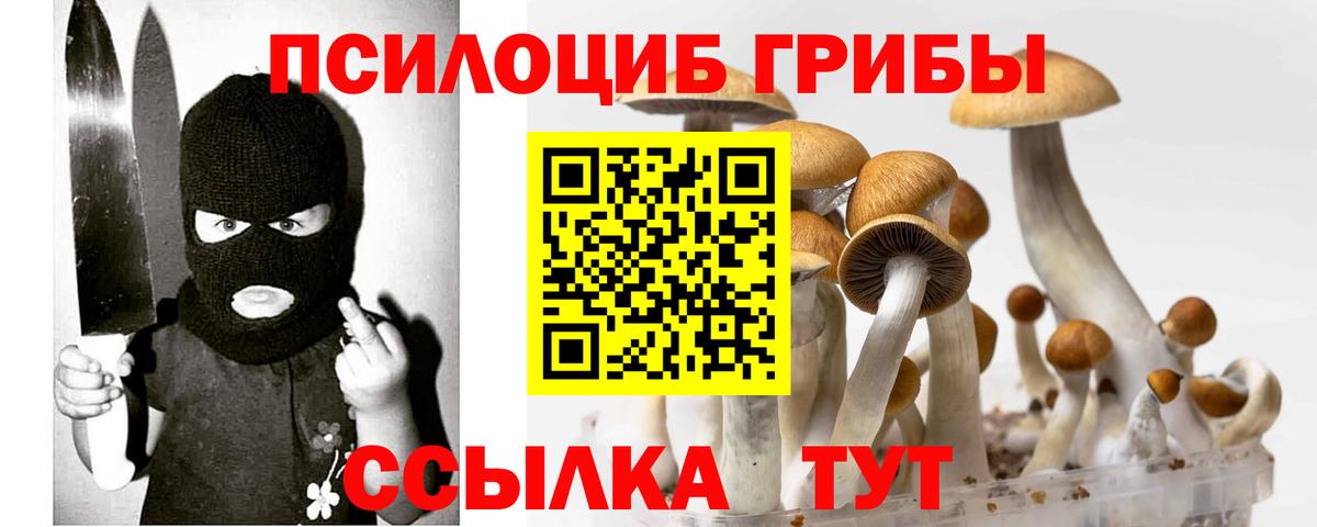 Псилоцибиновые грибы Magic Shrooms Волхов