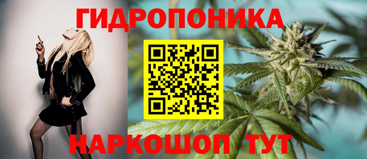Каннабис план Волхов